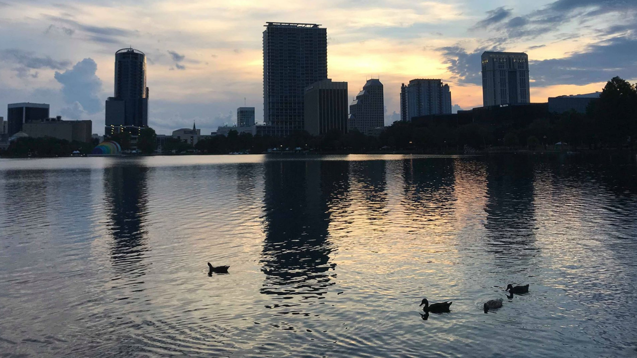 More Dog Sitting, Swans, & Martial Arts Championship | Weekly Vlog: July 2-8, 2018