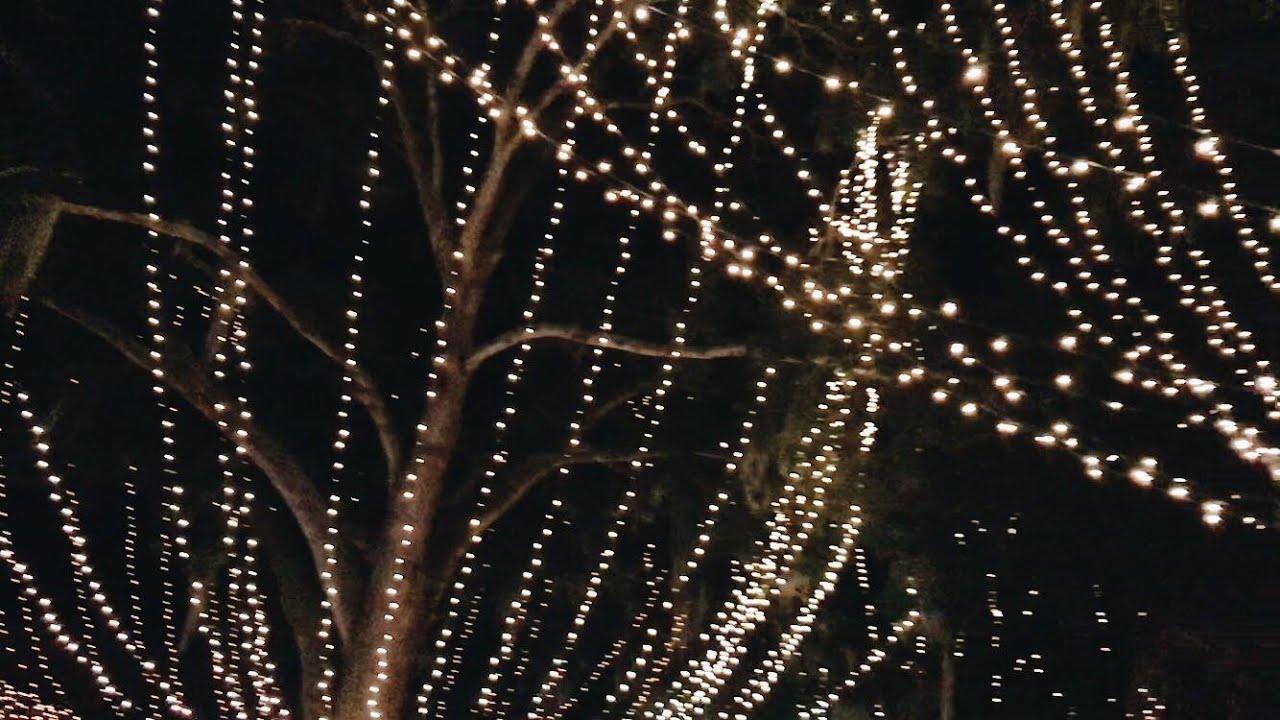 Lots of Shopping & Christmas Lights | Weekly Vlog: November 19-25, 2018